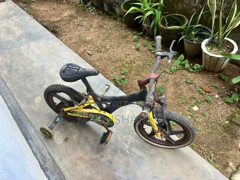 Bicycle Size 13"