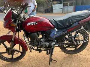 Hero Passion pro 2009