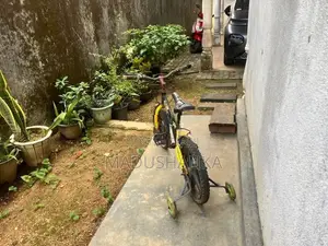Bicycle Size 13"
