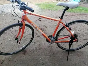Giant Cycle