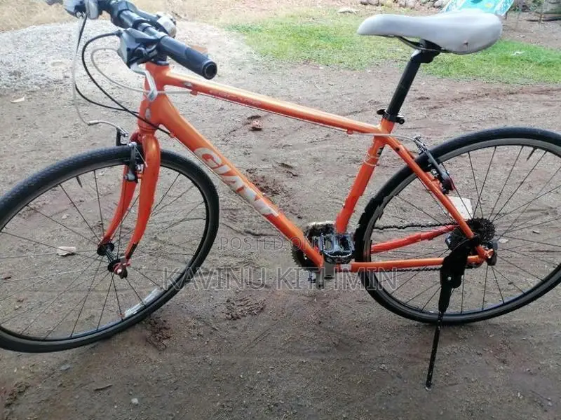 Giant Cycle
