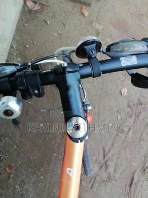 Giant Cycle