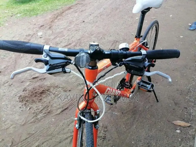 Giant Cycle