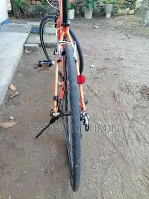 Giant Cycle