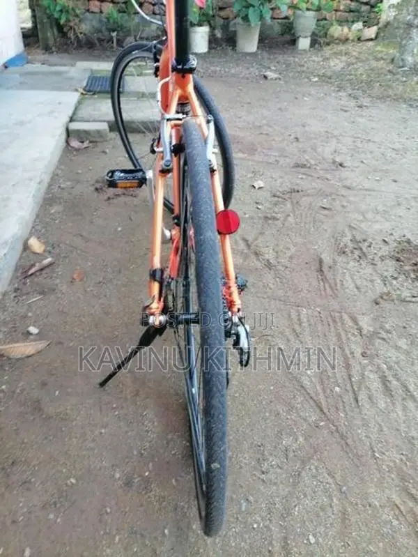 Giant Cycle