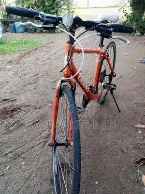 Giant Cycle