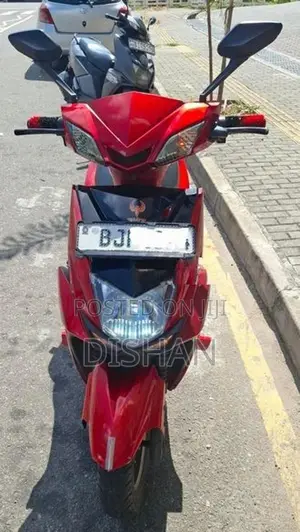 Rise Leader Electric Bike 2024