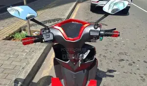 Rise Leader Electric Bike 2024