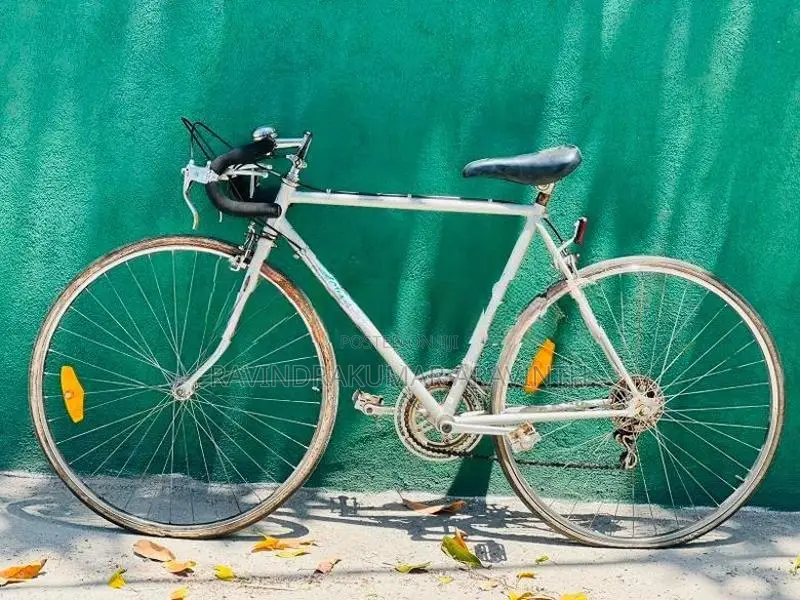 Racing Bicycle