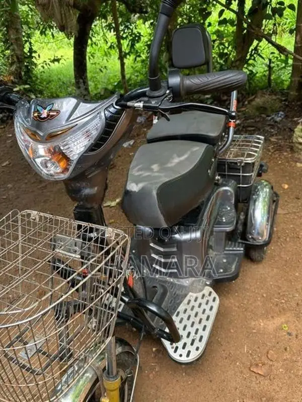 Ather Electric Bike 2024