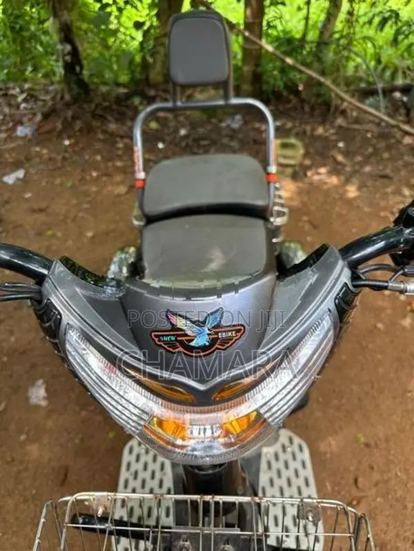 Ather Electric Bike 2024