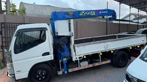 Mitsubishi Canter Crane Truck(Boom) 2019