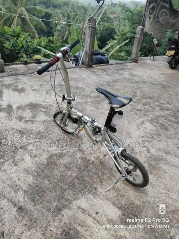 Folding Bicycle
