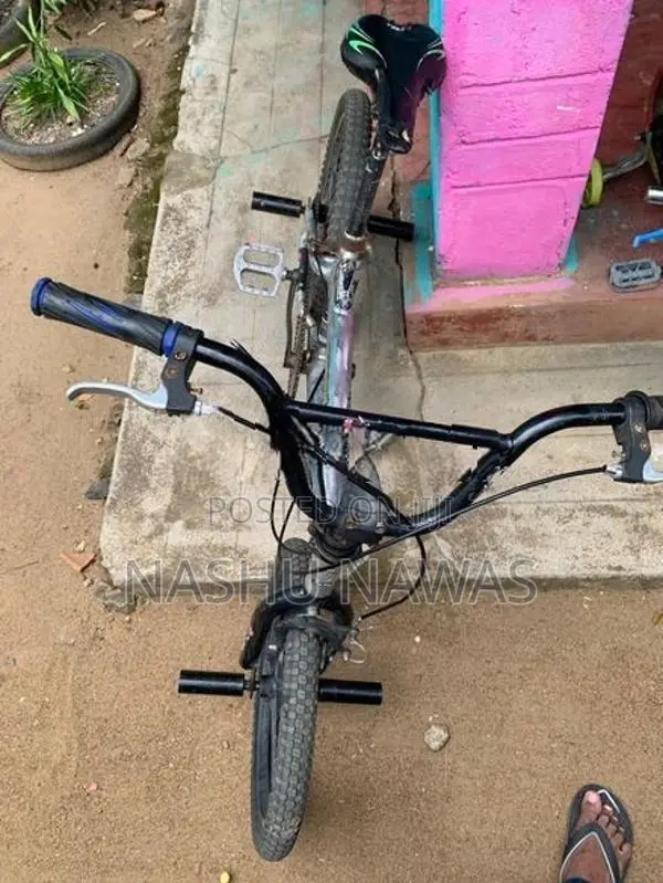 BICYCLE (Japan)