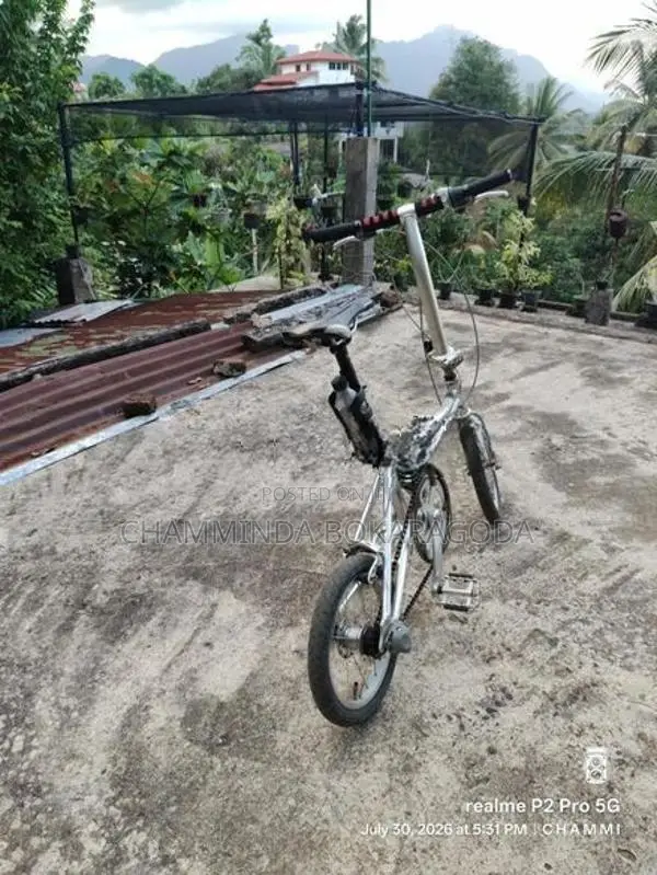 Folding Bicycle