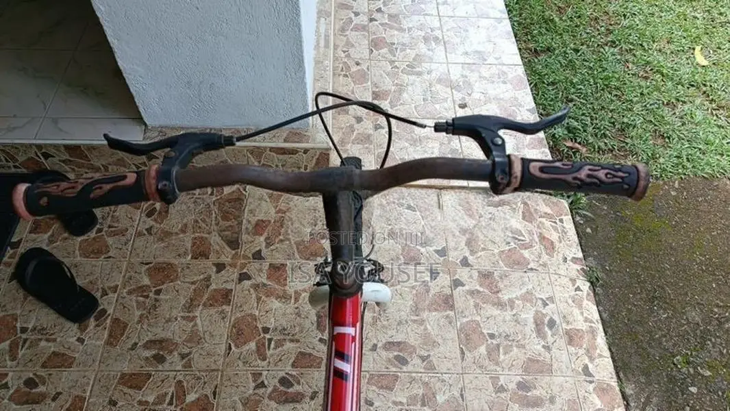 Size 24 Bicycle