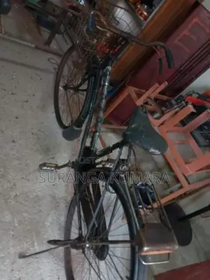 Lumala Cycle