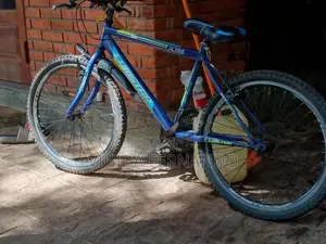 Lumastar Bicycle