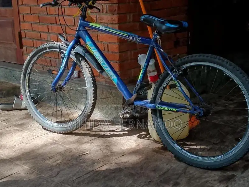 Lumastar Bicycle