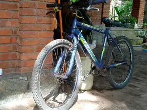 Lumastar Bicycle