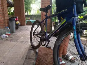 Lumastar Bicycle