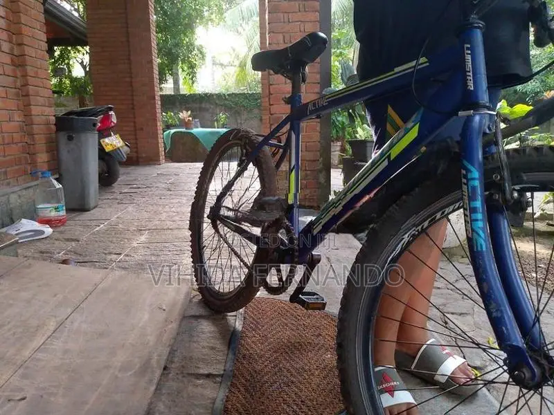 Lumastar Bicycle