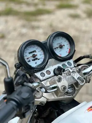 Honda Hornet CH110 2010