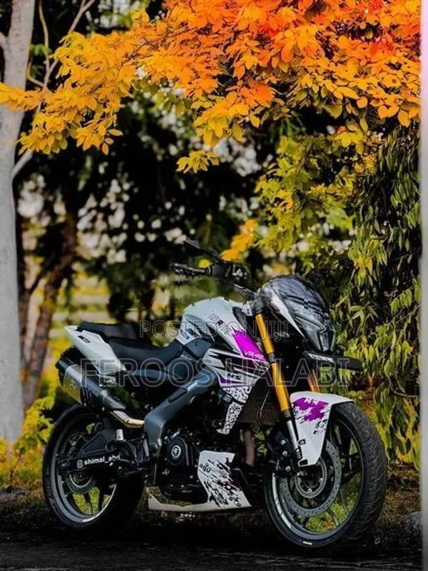 Bajaj Pulsar NS200 2025