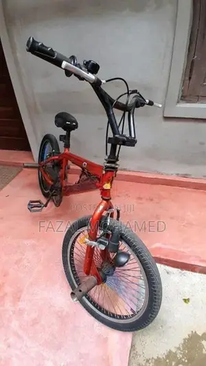 Freestyle 20"