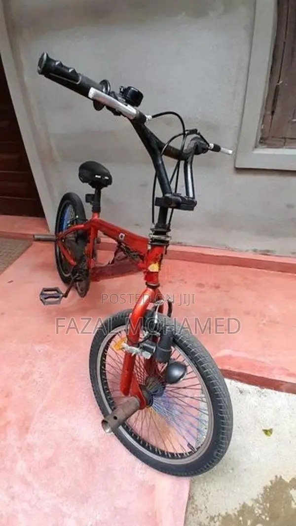 Freestyle 20"