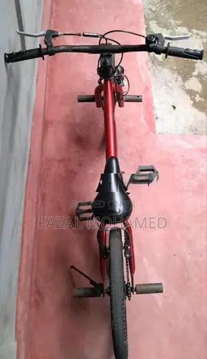 Freestyle 20"