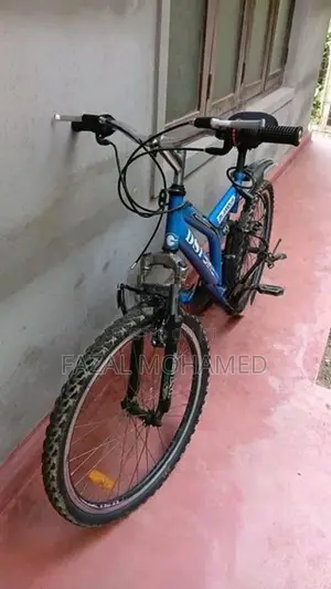 Bike - DSI Mountain