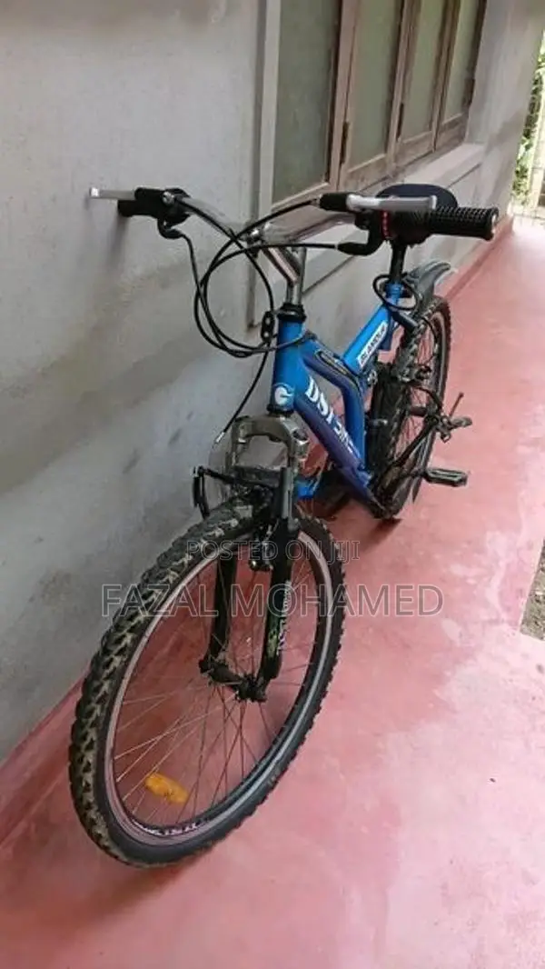 Bike - DSI Mountain