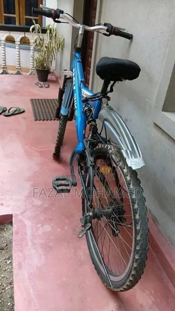 Bike - DSI Mountain