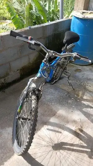 Bike - DSI Mountain