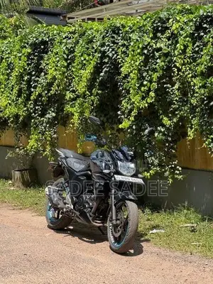 Yamaha FZs V2 2016