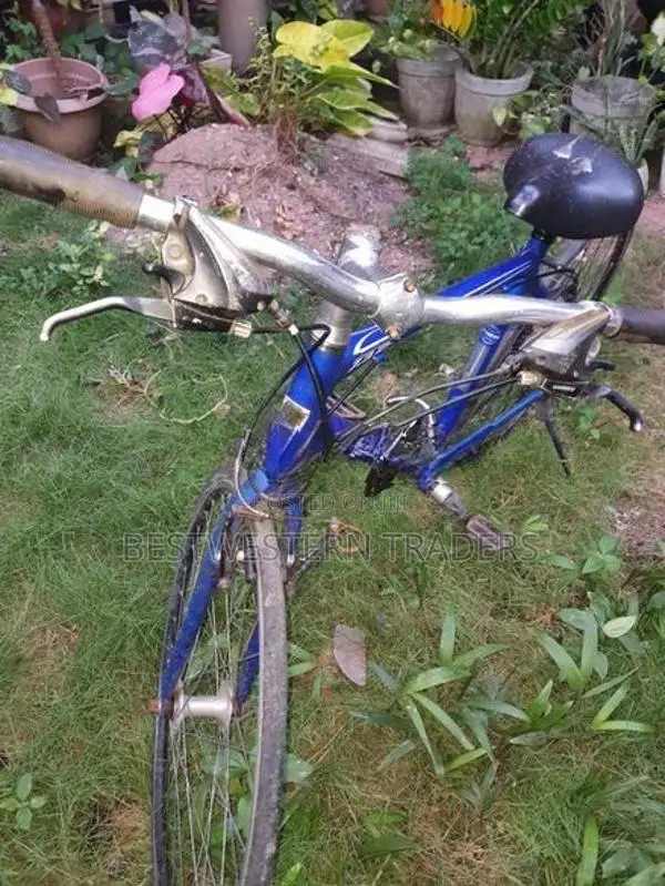 Bicycle