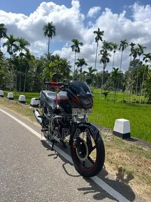Bajaj Pulsar 150 2009