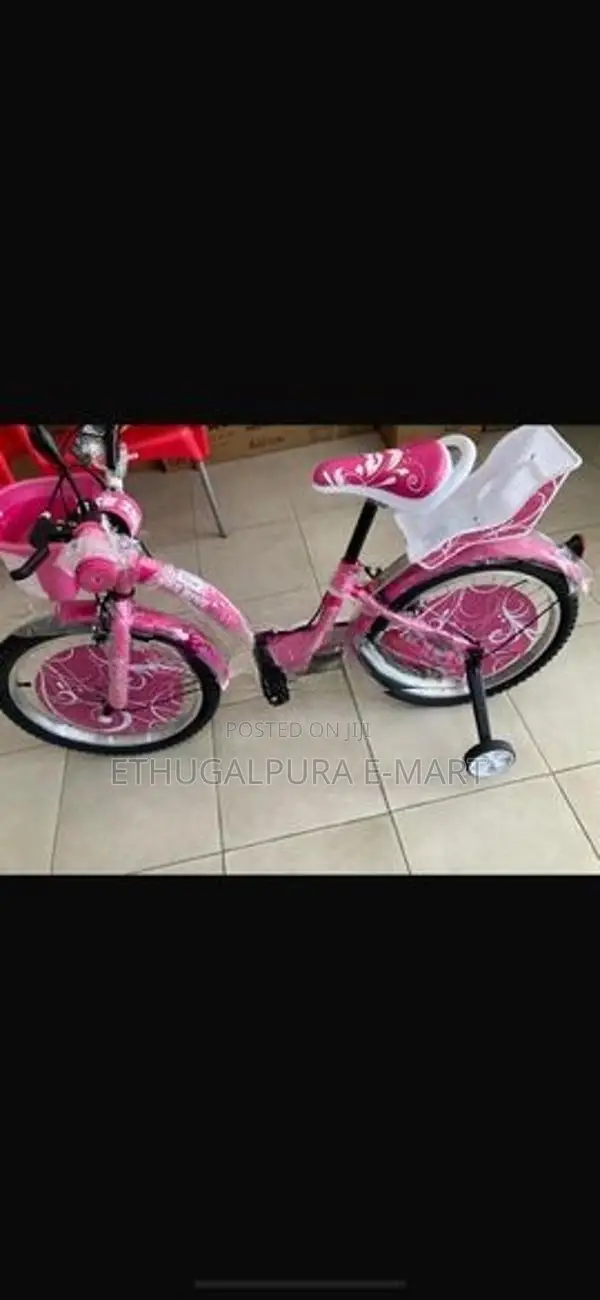 DSI 20 Lady Bicycle