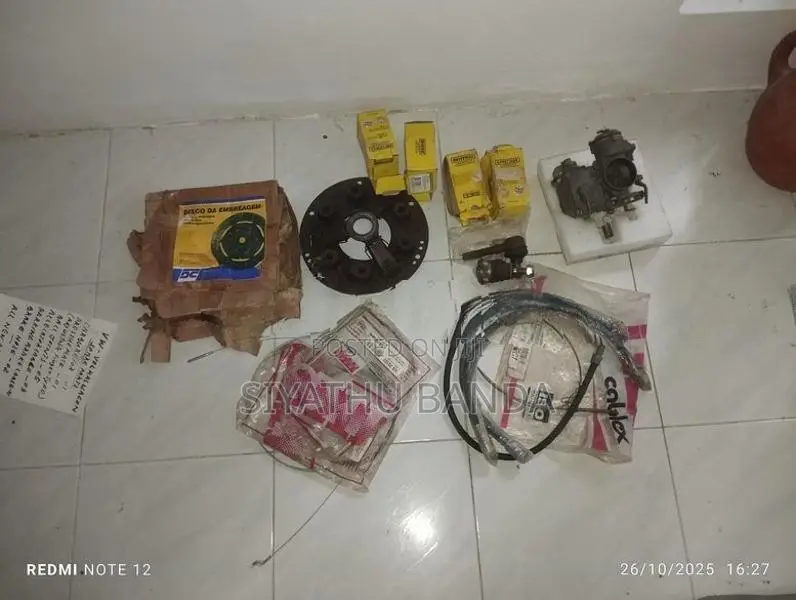 Volkswagen Beetle Parts Lot