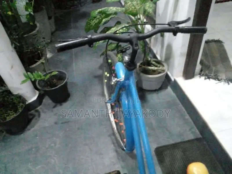 Bicycle