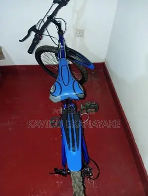 DSI Bicycle