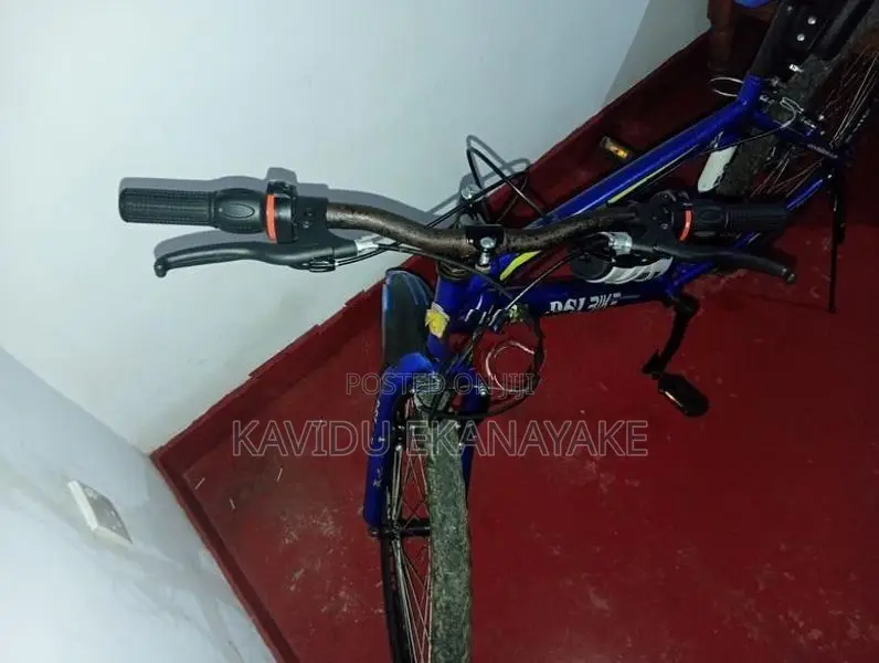 DSI Bicycle