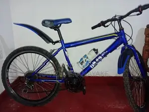 DSI Bicycle