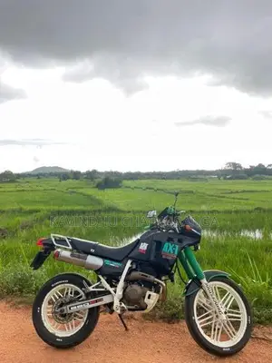 Honda AX1 2013