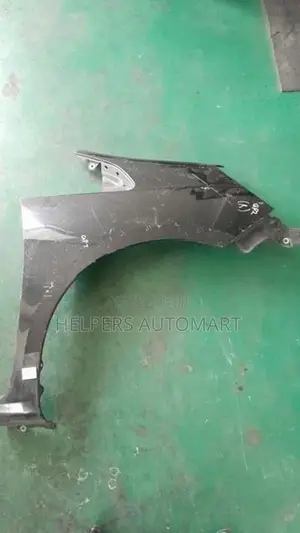 Honda Fit Shuttle GP2 Fender