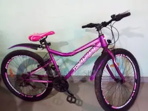 TOMAHAWK BICYCLE