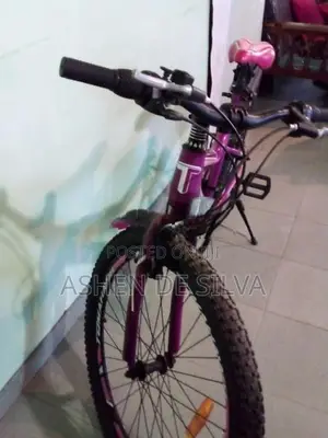 TOMAHAWK BICYCLE