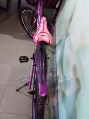 TOMAHAWK BICYCLE
