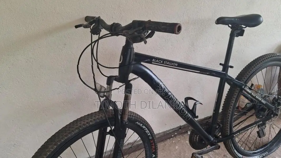 Mountain Bicycle